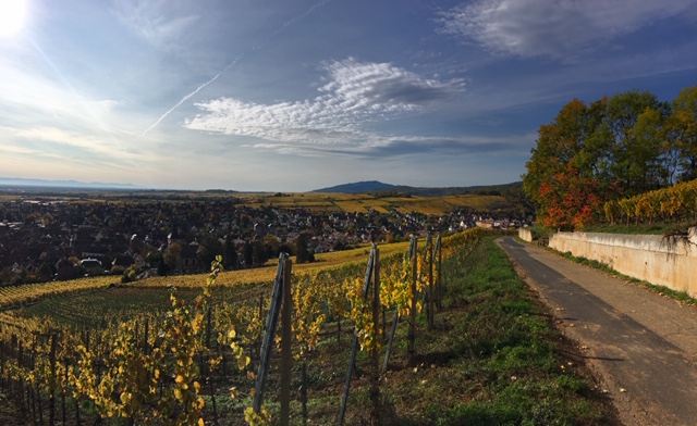 Domaine Hering GRAND CRU KIRCHBERG DE BARR